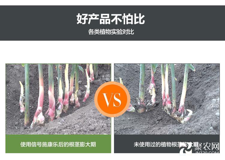 信號(hào)施康樂12