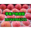山東紅富士蘋果價(jià)格山東蘋果今日價(jià)格