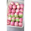 今日蘋果報(bào)價(jià)山東紅富士蘋果價(jià)格