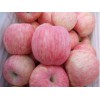 今日蘋果報(bào)價(jià)山東紅富士蘋果價(jià)格批發(fā)行情