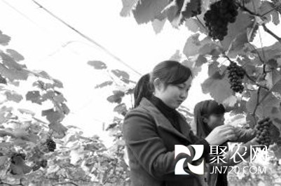 圖片10