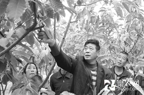 圖片7