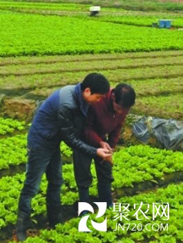 圖片2
