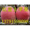 山東紅富士價(jià)格下滑/蘋果產(chǎn)地0.5價(jià)格