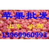 山東紅富士蘋果今日批發(fā)價格行情