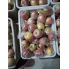 山東紅富士蘋果基地供應(yīng)價格18354426263