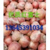 春節(jié)將至紅富士產(chǎn)地低價批發(fā)供應(yīng)