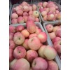 山東紅富士蘋果產(chǎn)地，紅富士蘋果價(jià)格批發(fā)