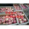 1月27日山東紅富士蘋(píng)果最新價(jià)格水晶紅富士蘋(píng)果價(jià)格