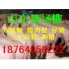 仔豬哪里有賣 山東地區仔豬哪里多 哪里仔豬便宜品種好