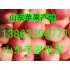 今日紅富士蘋果批發(fā)價格是多少