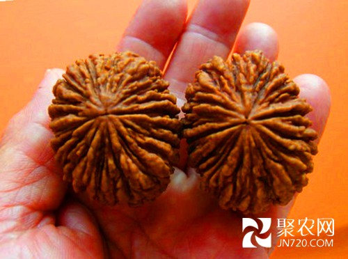 9-配對(duì)猴頭核桃-大-100