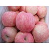 山東最新紅富士蘋果價(jià)格，山東哪里的紅富士便宜