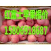 山東最大庫存紅富士蘋果最新批發價格