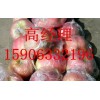 15906332196供應山東莒縣冷庫蘋果