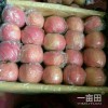 13626331680山東冷庫紅富士蘋果批發價格