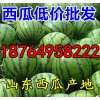 京欣西瓜產地報價 山東大型西瓜基地 臨沂西瓜市場批發