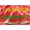山東西瓜產地西瓜批發價格