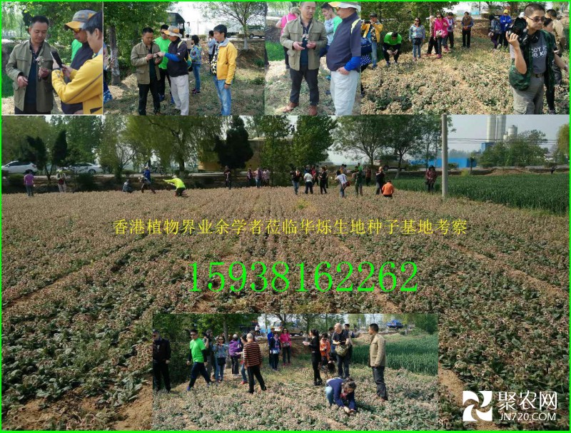 生地地理集結號11電話