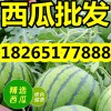 【京欣西瓜】今年山東優質西瓜多錢一斤