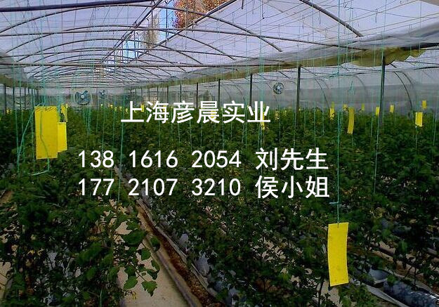 上海彥晨耐高溫80度 超強粘力粘蟲板