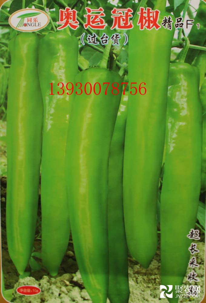奧運(yùn)冠椒