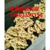 鮮姜上市價格山東生姜供應批發