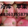 山東嘎拉蘋果價格，。山東美八蘋果產地0.6毛