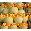 山東嘎啦蘋(píng)果產(chǎn)地