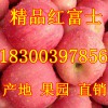 煙臺(tái)蘋(píng)果產(chǎn)地價(jià)格