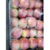 15269991756-山東美八蘋果-美八蘋果產(chǎn)地