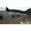 供應(yīng)簡易大棚FC-005、芳誠溫室--18988967562