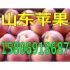 紅星蘋果產(chǎn)地供應(yīng)今日蘋果價格