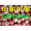 紅將軍蘋果產(chǎn)地供應(yīng)價格