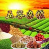 2016北京大米雜糧博覽會(huì)