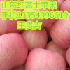 山東紅富士蘋果批發(fā)山東富士蘋果產(chǎn)地山東臨沂蘋果基地上市