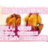 學做香酥童子雞哪里有學 啤酒烤鴨的專業做法