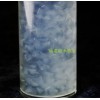 河南蘆薈——專業(yè)的蘆薈果丁市場(chǎng)價(jià)格
