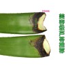 超粘稠蘆薈老葉|信譽(yù)好的17年蘆薈老葉價(jià)位