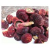 原生態(tài)紅菇加盟，【供應(yīng)】廈門價(jià)位合理的紅菇