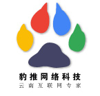 昆明西山區(qū)網(wǎng)絡(luò)推廣找哪家?豹推低價、卓有成效