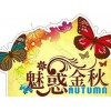 美好時光旅行社提供有品質的一日游服務——沈陽到關門山一日游