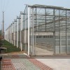 新型智能溫室大棚，高性價溫室大棚推薦
