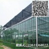 設(shè)計(jì)生產(chǎn)高品質(zhì)陽光板溫室玻璃溫室蔬菜大棚農(nóng)業(yè)大棚工程