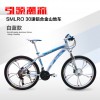 深圳信譽(yù)好的30速山地車供應(yīng)商|專業(yè)的變速山地車
