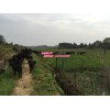 品質好的黑山羊當選利佳羊場：湖南努比亞黑山羊加盟