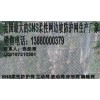 越琪提供品牌好的主動防護網GPS2，是您上好的選擇  ，貴陽主動網GPS2
