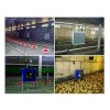 溫室暖風機生產廠家_質量一流的溫室暖風機在哪買