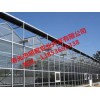 玻璃溫室大棚建設：山東哪家連棟玻璃溫室大棚廠好