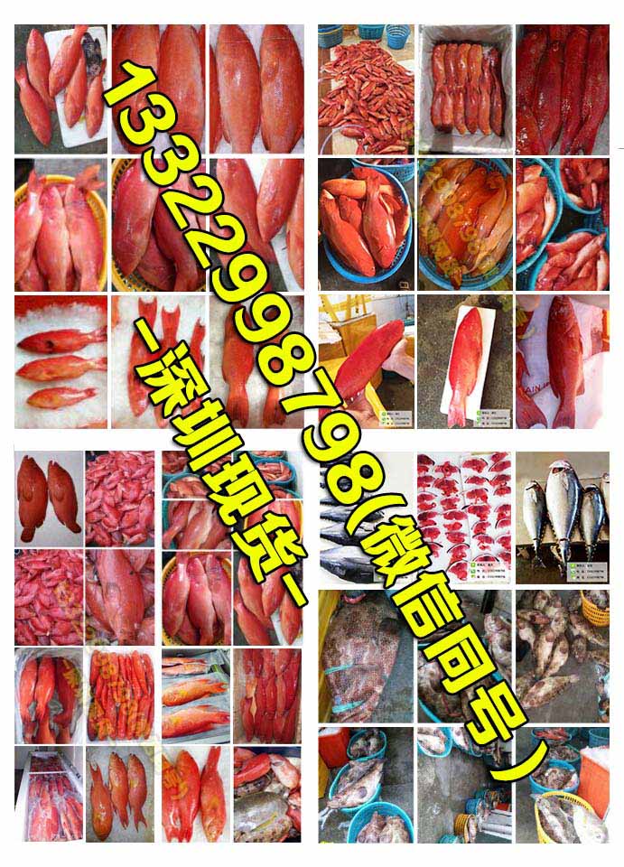 冰鮮印尼東星斑